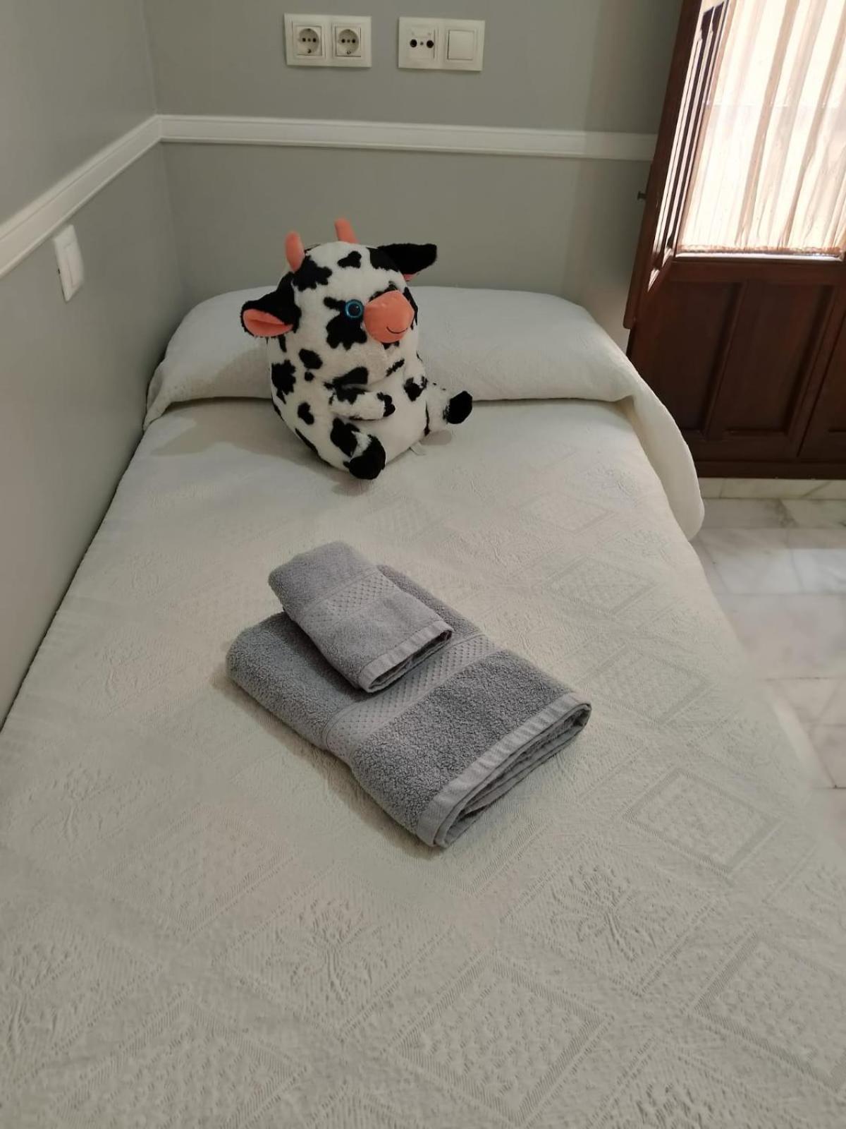 Casa Libelula Blanca *